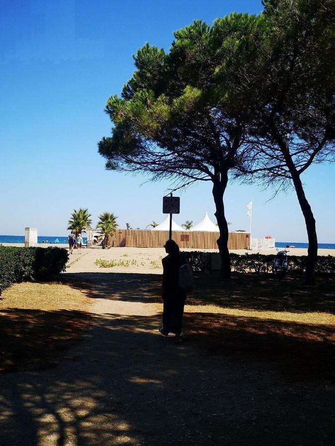 Charmant T2 Terrasse, Bord De Mer Argelès-sur-Mer Extérieur photo